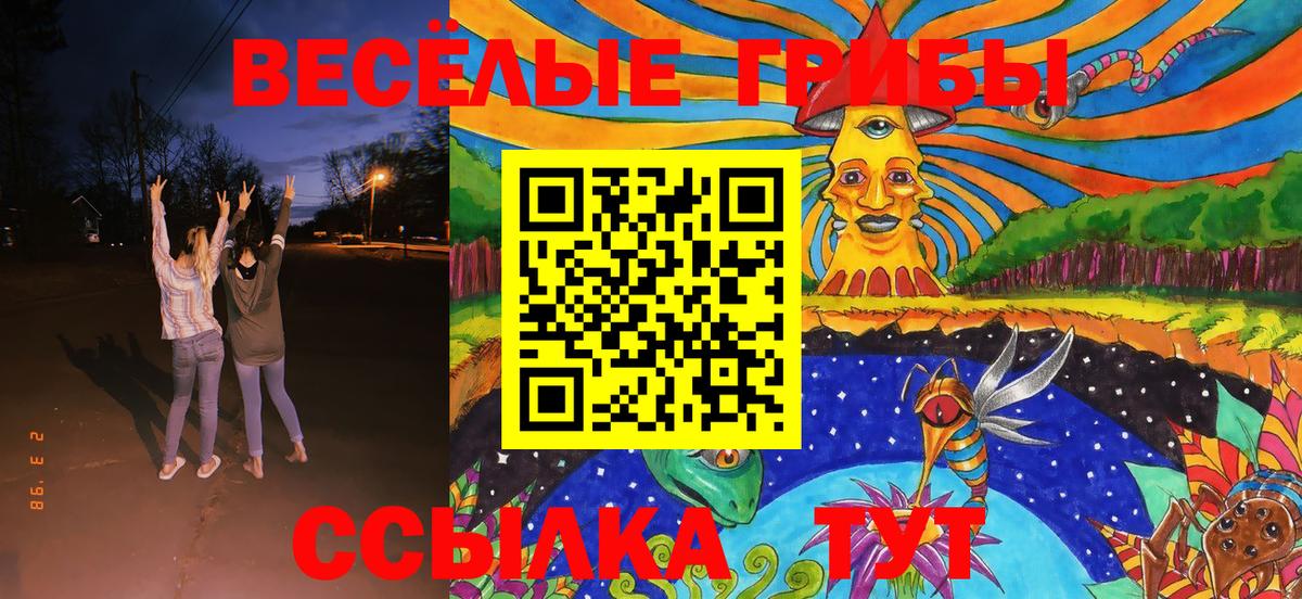 Галлюциногенные грибы Cubensis  Вход с VPN  Канаш 